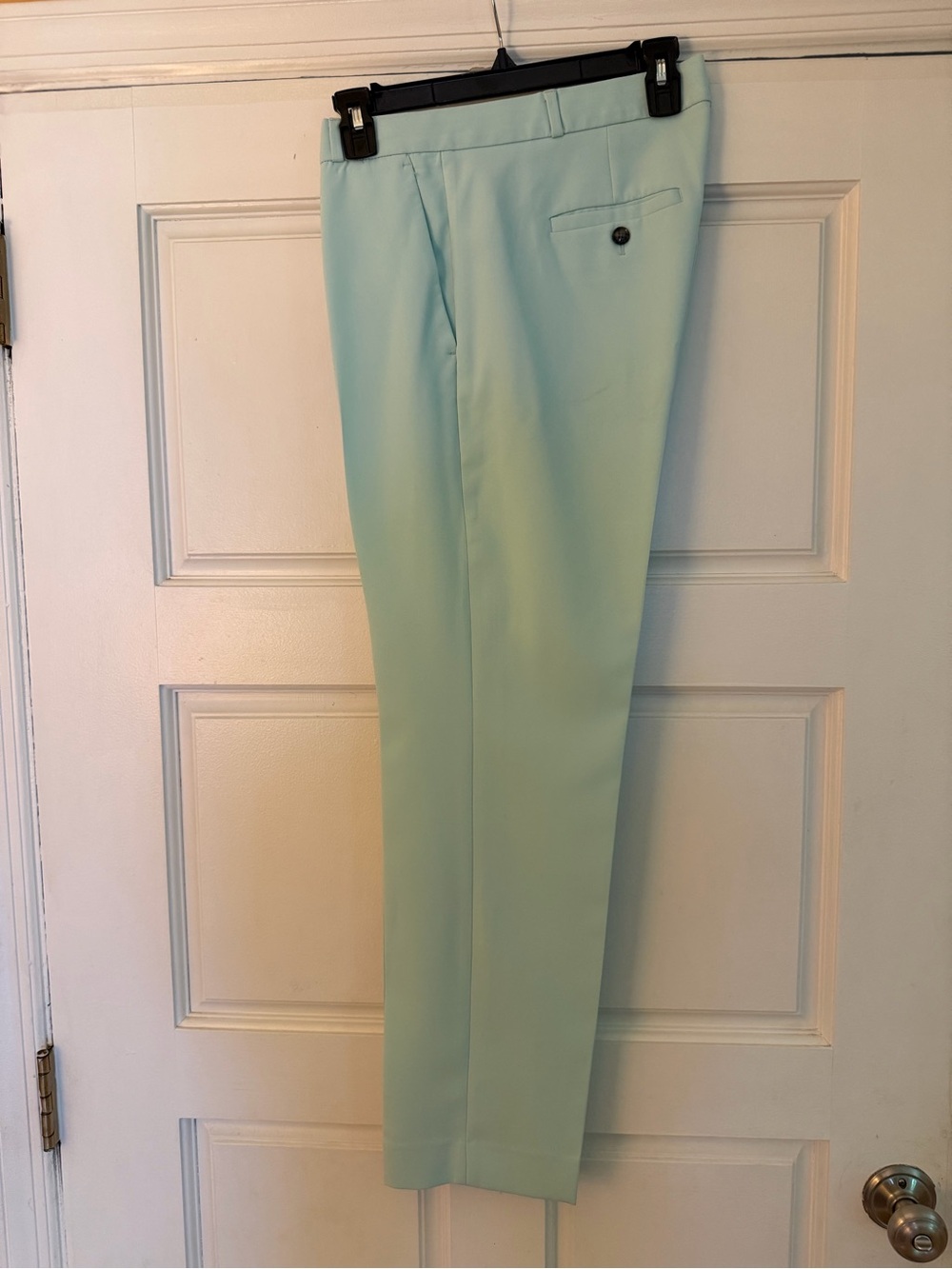 Banana Republic Tailored Flat-Front Dress Pants in Light Mint_Size 8 Long